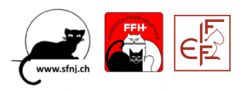 Logos SFNJ, FFH, ICFC