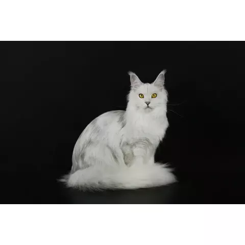 Imperial Family Messika