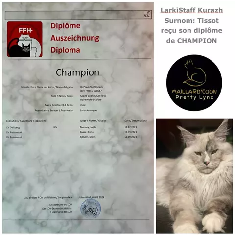 Diploma di Campione FFH &mdash; LarkiStaff Kurazh
