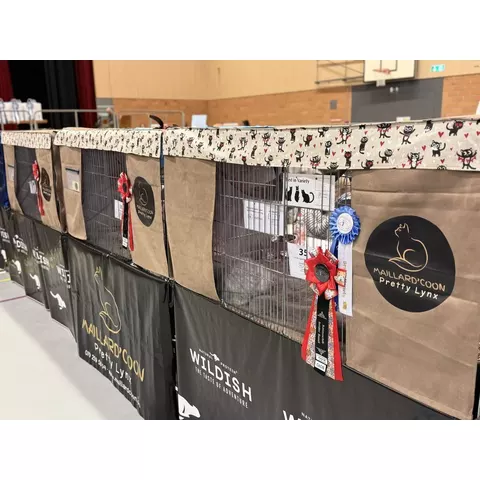 Esposizione felina internazionale di Aesch
