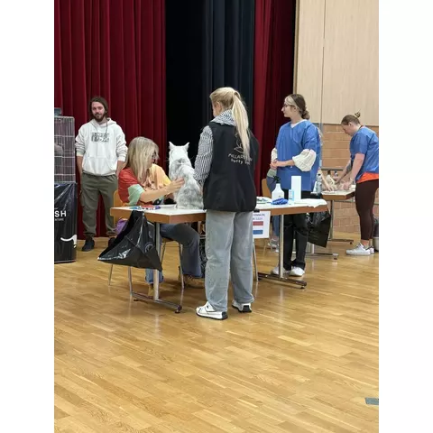 Esposizione felina internazionale di Aesch