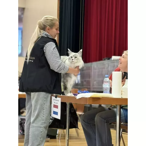 Esposizione felina internazionale di Aesch