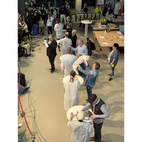 Esposizione felina internazionale di Burgdorf