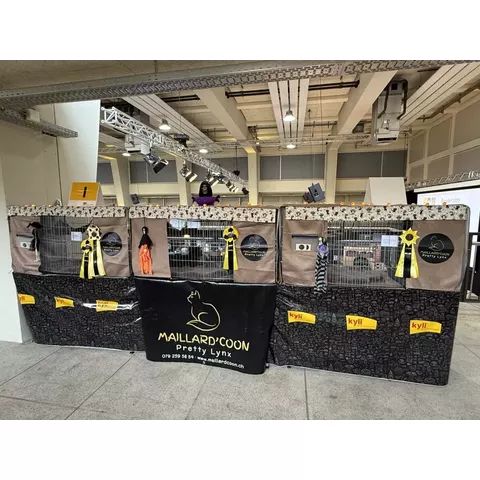 Esposizione felina internazionale di Burgdorf