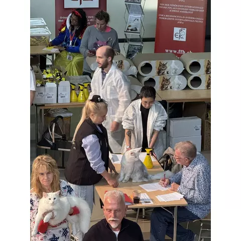 Esposizione felina internazionale di Burgdorf