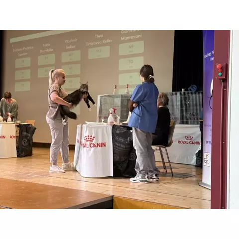 Esposizione felina internazionale di Cortaillod