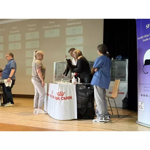 Esposizione felina internazionale di Cortaillod