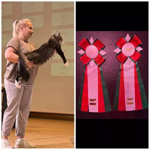Esposizione felina internazionale di Cortaillod