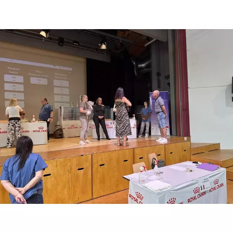 Esposizione felina internazionale di Cortaillod