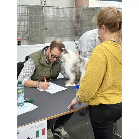 Mostra felina di La Chaux-de-Fonds, 2024