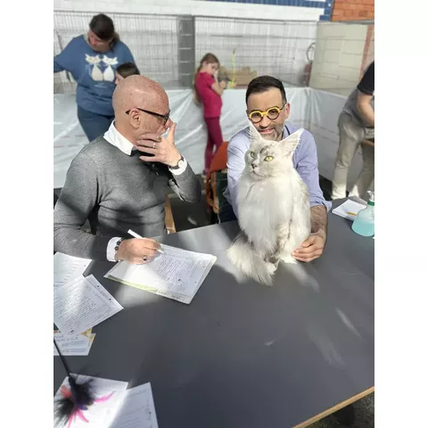 Mostra felina di La Chaux-de-Fonds, 2024