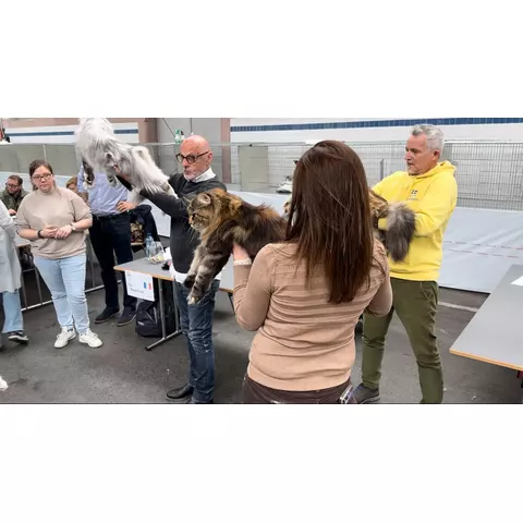 Mostra felina di La Chaux-de-Fonds, 2024